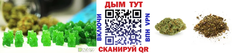 kraken tor  площадка формула  Выборг  Canna-Cookies конопля  купить наркотик 