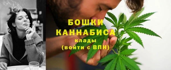 ПСИЛОЦИБИНОВЫЕ ГРИБЫ Белокуриха