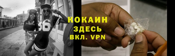 ПСИЛОЦИБИНОВЫЕ ГРИБЫ Белокуриха