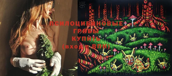 ПСИЛОЦИБИНОВЫЕ ГРИБЫ Белокуриха