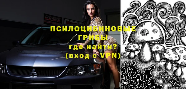 прущие крисы Белоозёрский