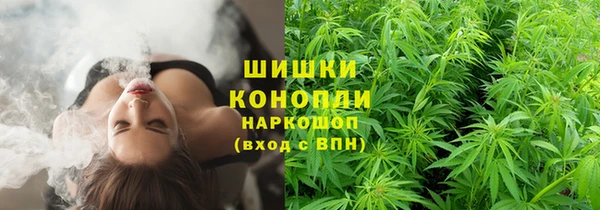ПСИЛОЦИБИНОВЫЕ ГРИБЫ Белокуриха