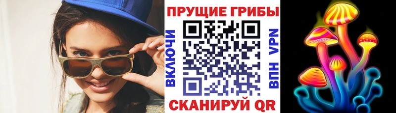 Галлюциногенные грибы Magic Shrooms  Выборг 